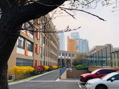 -山东省青岛第二中学(江西路分校)