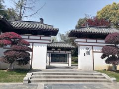 -武汉园博园(武汉自然博物馆)