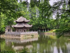 -习家池