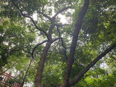 -南国桃园旅游度假区