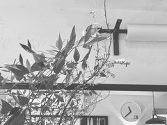 -Joymean coffee.见面咖啡