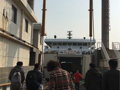-枸杞岛