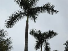 -广州市白云山风景名胜区