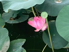 -西海子公园