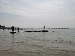 -老虎石海上公园