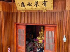 -深圳仙湖植物园