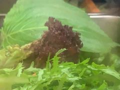 -韩一品韩国料理(柏庐南路店)