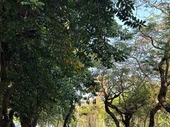 -浅森·龙凤筋SPA·私域调理