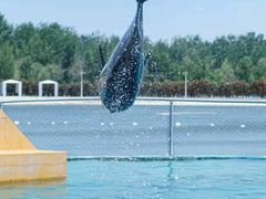 -秦皇岛乐岛海洋王国