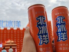 -首开·龙湖成都西宸天街