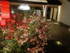 -雅达·阳羡溪山小镇中心