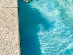 -汪说喵讲宠物乐园宠物酒店(红星美凯龙店)