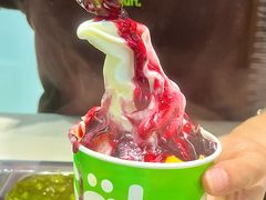 -Salud撒露欧洲冻酸奶(五道口购物中心店)