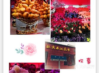 广州旅游攻略 | 不可错过的广州花市