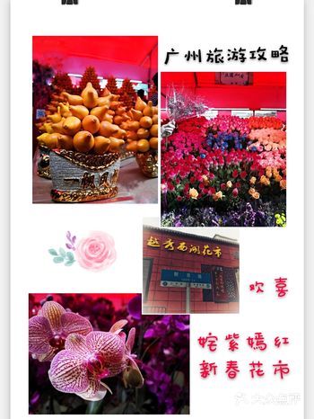 广州旅游攻略 | 不可错过的广州花市