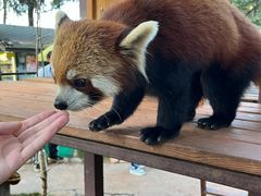 -云南野生动物园