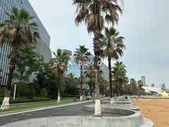 -金沙湖公园
