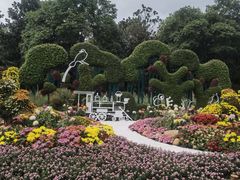 -上海共青森林公园