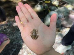 -云岫谷游猎自然风景区