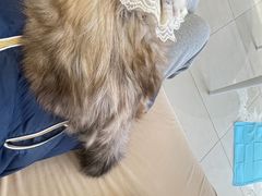 -怪兽屋·羊驼·猫咖·狗咖(俊华广场店)