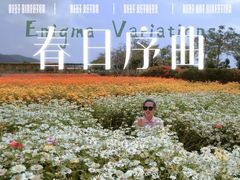 -亚龙湾国际玫瑰谷