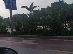 -南宁南湖公园