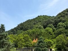 -沣峪口