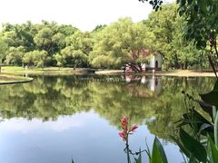 -上海共青森林公园