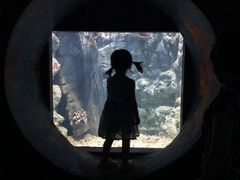 -福州罗源湾海洋世界旅游区