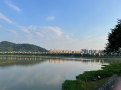 -风云岭森林公园