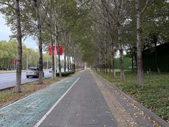 -大悦城(沈阳中街店)