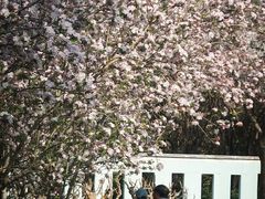 -郑州植物园