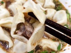 酸汤牛肉水饺-回坊马二饺子馆