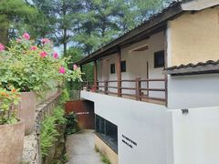 -缙云山景区