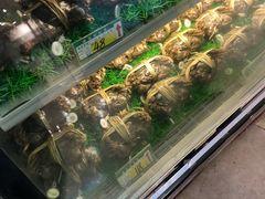 -蟹臻鲜阳澄湖大闸蟹(889广场店)