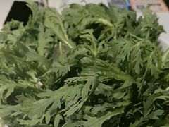 -烹然四季椰子鸡火锅(姚家园万象汇店)