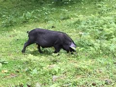 -硗碛藏寨·神木垒景区