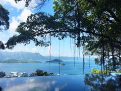 -大埔公路-马料水段香港中文大学(公交站)