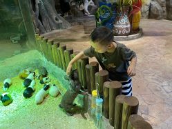 -宝燕乐园(闵行旗舰店)