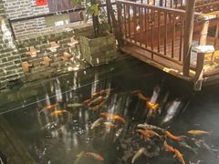 -优之名鹅城