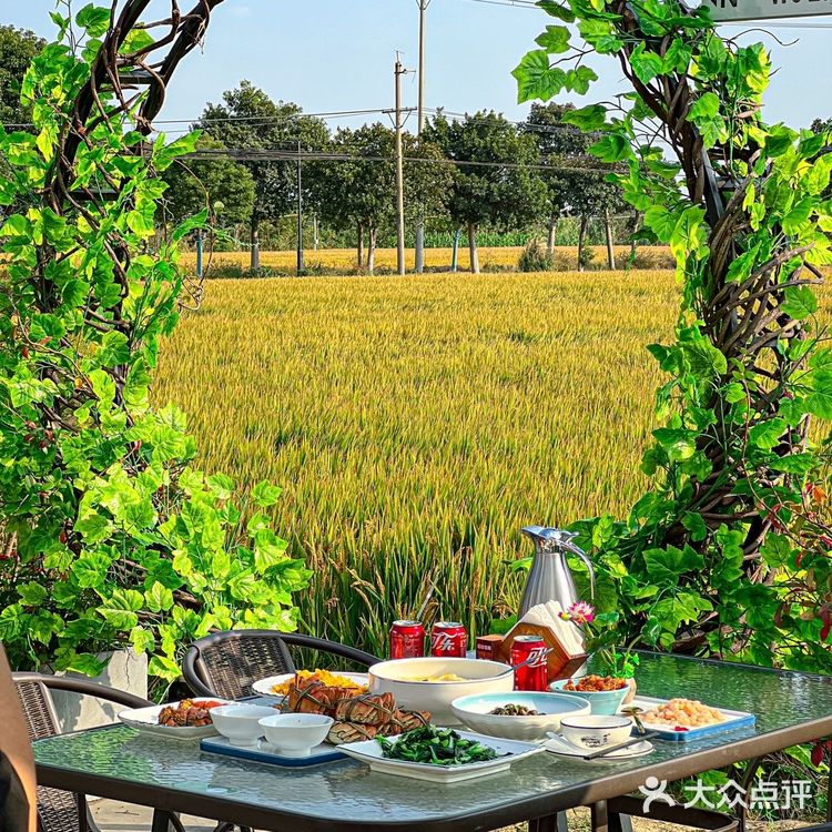 永远可以相信苏州的浪漫🥀稻田边吃大闸蟹