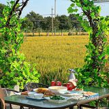 永远可以相信苏州的浪漫🥀稻田边吃大闸蟹