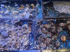 -花西亭·海鲜自助餐厅(瑞城名人酒店)