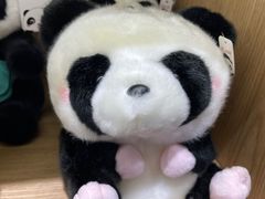 -磁器口古镇