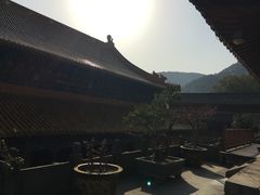 -普陀山风景名胜区-法雨禅寺