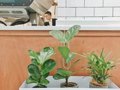 -Onirii Coffee(长乐路店)