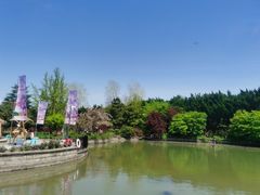 -嘉定紫藤园