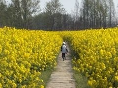 -中国天府农业博览园