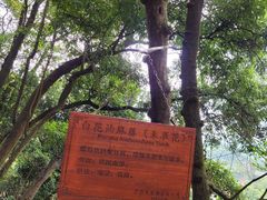 -天鹿湖森林公园
