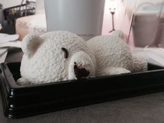 -卡滋贝诺(步行街店)